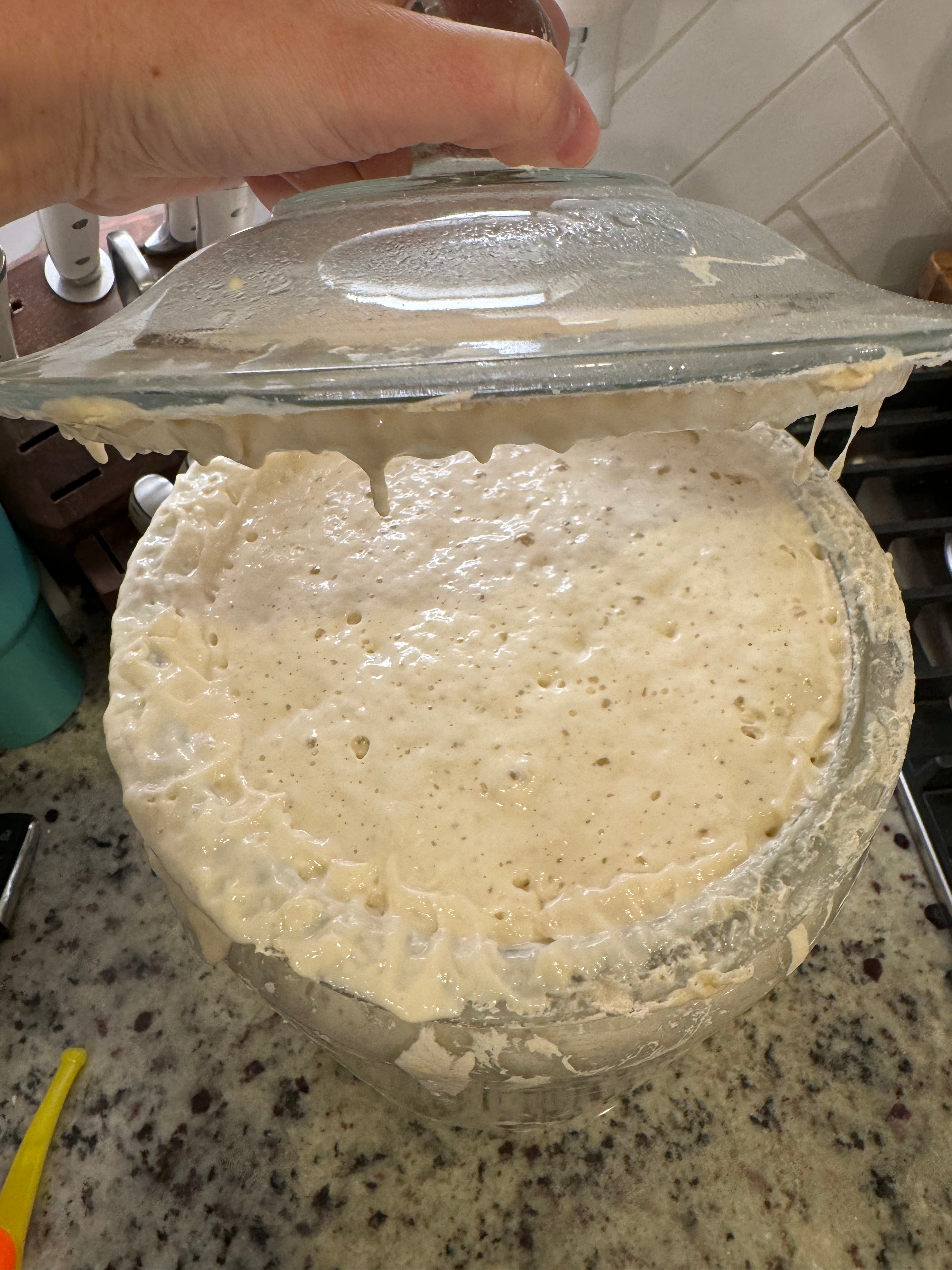 Eve - Dehydrated Sourdough Starter