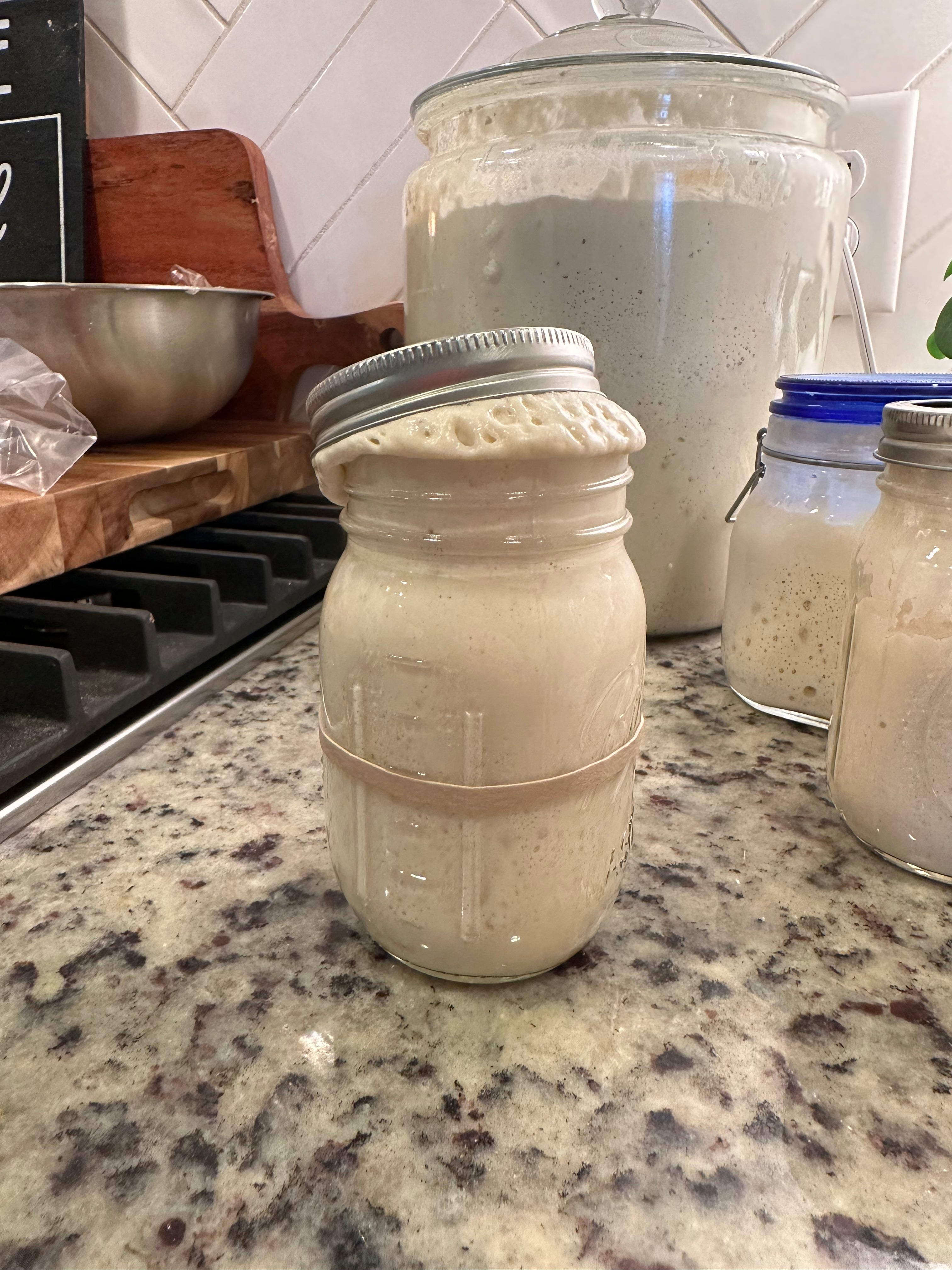 Eve - Dehydrated Sourdough Starter