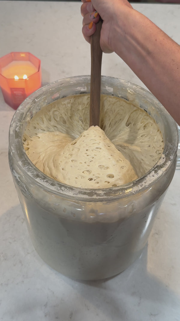 Eve - Dehydrated Sourdough Starter